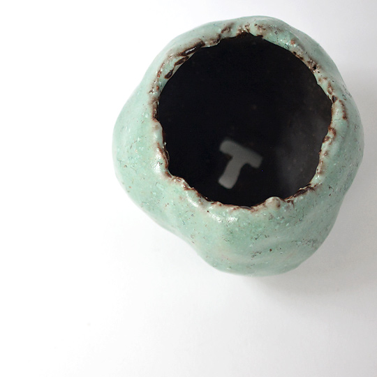 有機的な造形の口縁