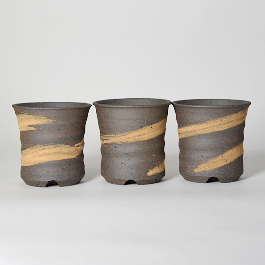 色味の雰囲気など個体差があります。 <br>また、鉢の指定はお受け出来かねます。ご了承ください