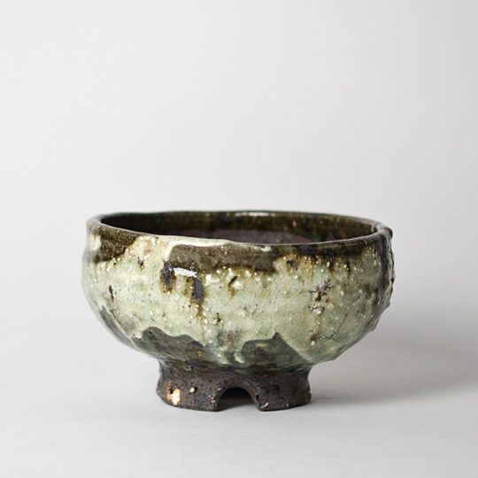 抹茶椀のような美しさを感じさせる鉢