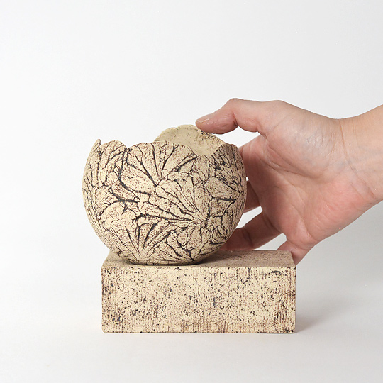 気分に合わせて鉢の角度を変えるのも楽しいです