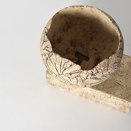 意外にもとても植え込みしやすい形状です