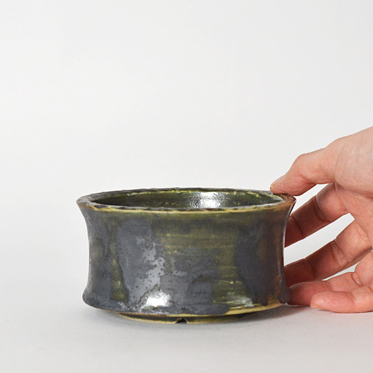 一つの鉢にさまざまな表現が入り混じります