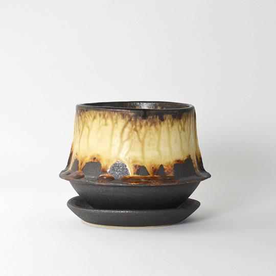 ミニスワンと名付けられた信楽焼の鉢