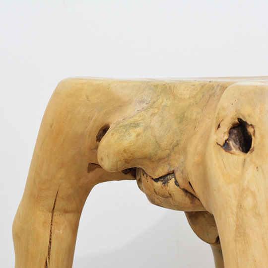 面白い自然の造形