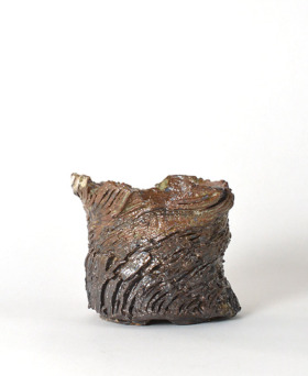 多肉植物・特別な鉢の販売 | トーキー | TOKY