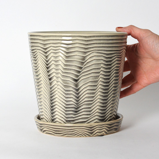 大きめの植物も受け止めてくれるサイズ感