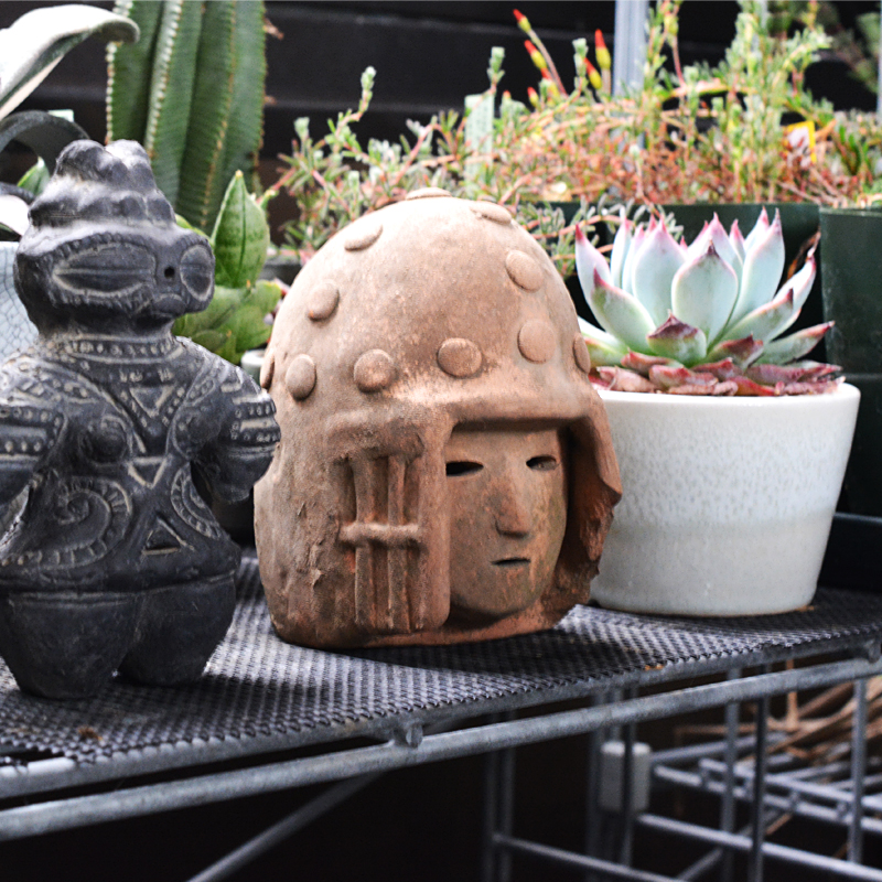 武人の勇ましさが植物盗難の抑制になるかもしれません?