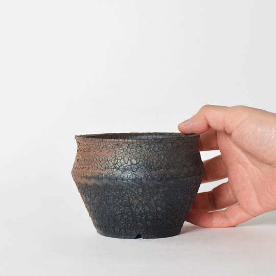 Hagakure Lizard Pot 047 | 多肉植物・特別な鉢の販売 | トーキー | TOKY