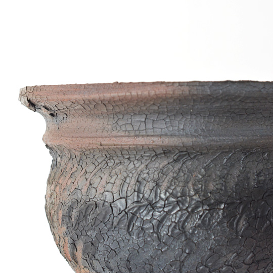 Hagakure Lizard Pot 056 | 多肉植物・特別な鉢の販売 | トーキー | TOKY