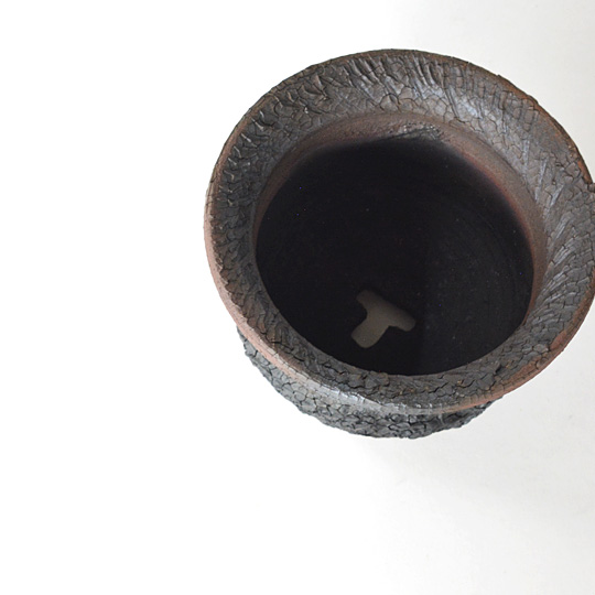 Hagakure Lizard Pot 056 | 多肉植物・特別な鉢の販売 | トーキー | TOKY