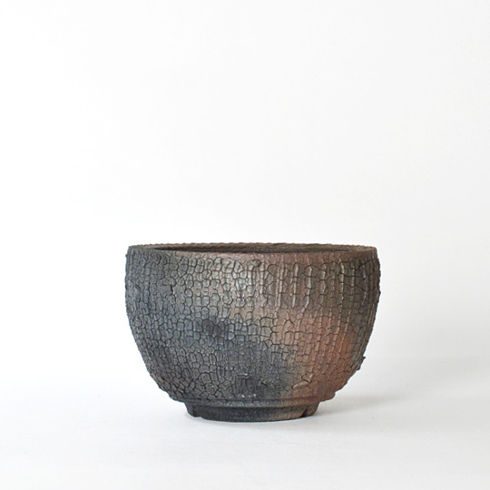 Hagakure Lizard Pot 057 | 多肉植物・特別な鉢の販売 | トーキー | TOKY