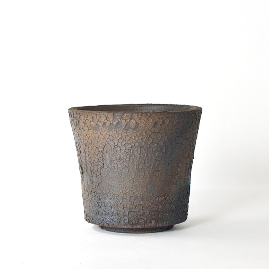 Hagakure Lizard Pot 059 | 多肉植物・特別な鉢の販売 | トーキー | TOKY