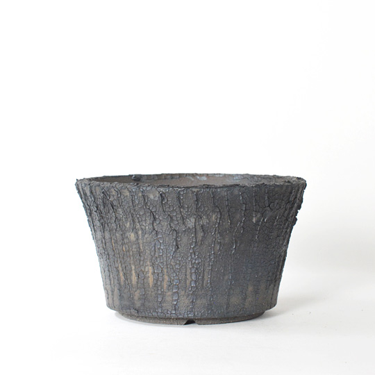 Hagakure Lizard Pot 061 | 多肉植物・特別な鉢の販売 | トーキー | TOKY