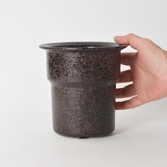 Top【選抜株】多肉植物　264178メドゥーサー　63個　鉢無し/脱土 Obscure Pot M (Brown) | 多肉植物・特別な鉢の販売 | トーキー | TOKY