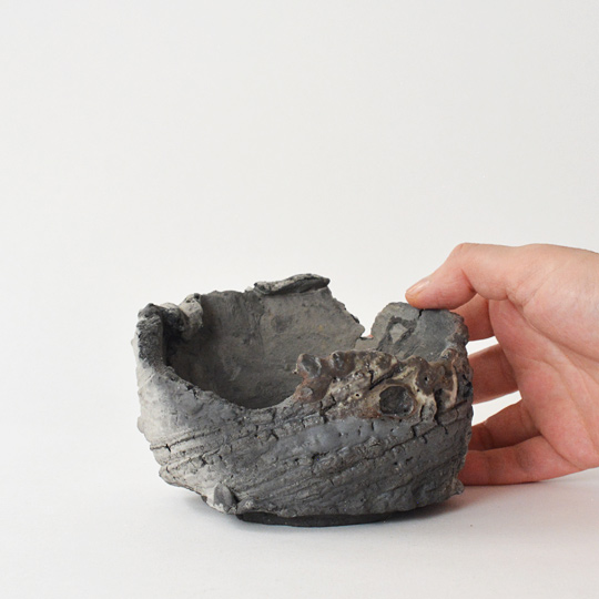 コーデックスが似合いそうですね!