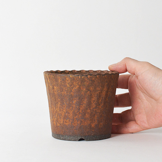 Variant Basic Pot SM (Rust Brown) | 多肉植物・特別な鉢の販売